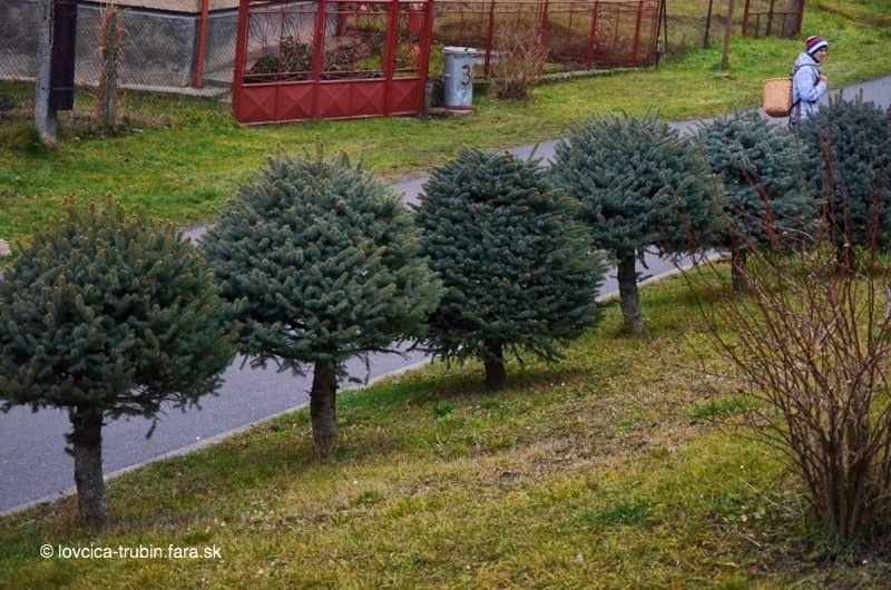 farnost-lovcica-trubin-dobra-novina-2013-045