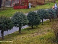 farnost-lovcica-trubin-dobra-novina-2013-045