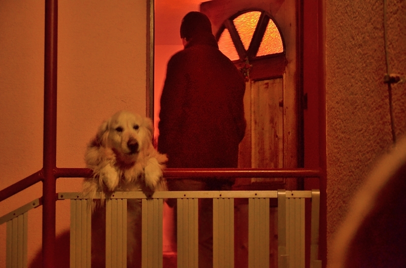 dobra_novina_2012_12