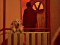 dobra_novina_2012_12