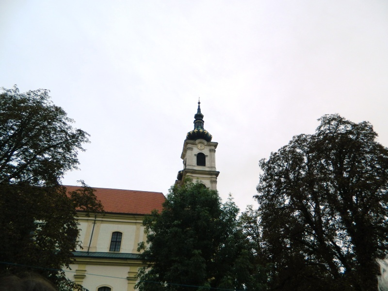 DSCN1235